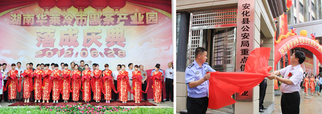 直銷專業(yè)網(wǎng),華萊
