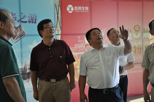 直銷專業網,炎帝