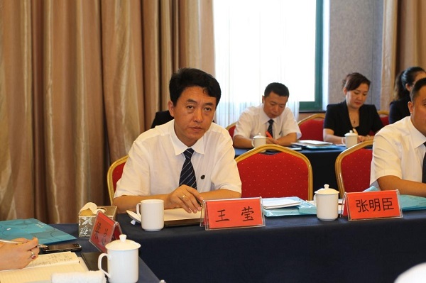 執(zhí)行總裁王瑩先生發(fā)言 執(zhí)行總裁王瑩先生發(fā)言
