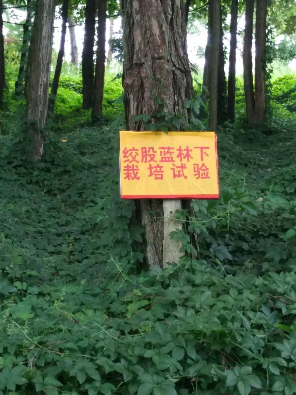 \